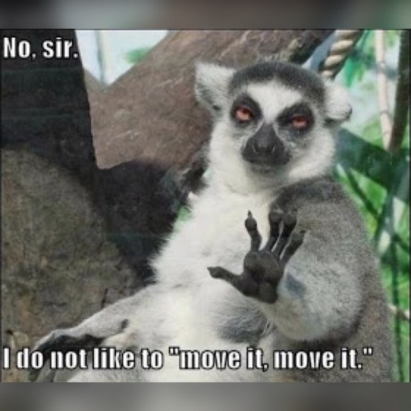 I hit 500k! ๐ฅธ Itโs a Follow Game share me ๐ค - Picture 3 of 6